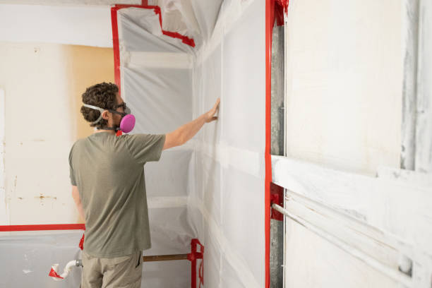 Best Residential Mold Inspection & Testing  in Hobe Sound, FL