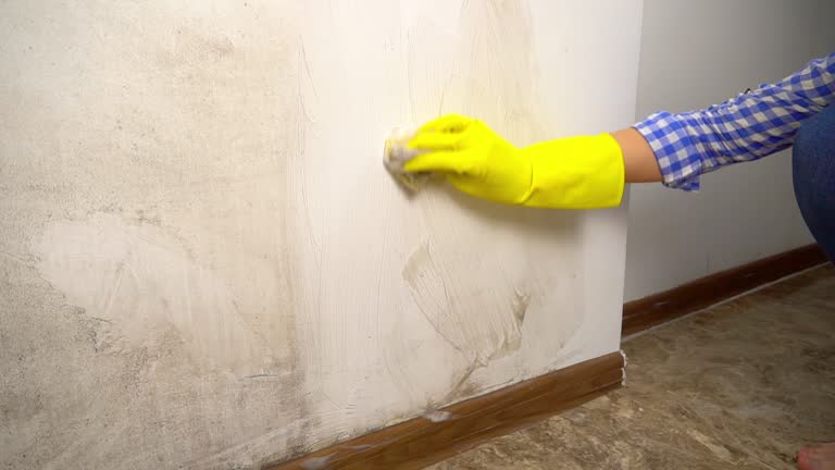 Best Real Estate Mold Inspection  in Hobe Sound, FL