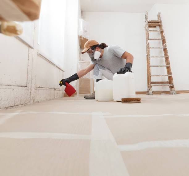 Best Mold-Related Health Consultation  in Hobe Sound, FL